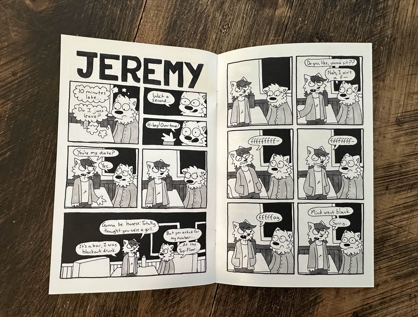"Ferris' 9 Dreamy Dates" Zine